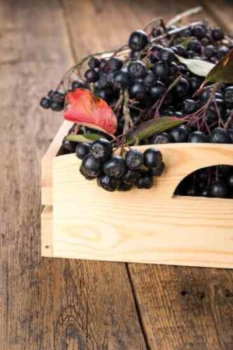 Seasonal Treats with Heart Healthy Herbs